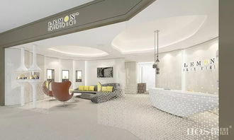 回顧2017丨上海霍思醫療設計2017年度項目圖展