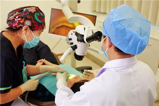 這個價值800元的潔牙套餐還在免費(fèi)送